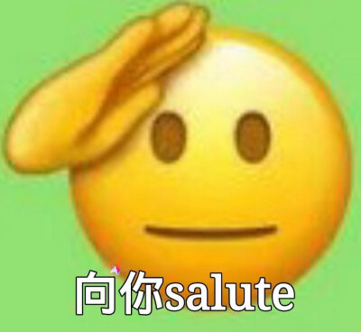 向你salute