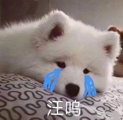 搞怪表情包