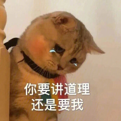 搞怪表情包