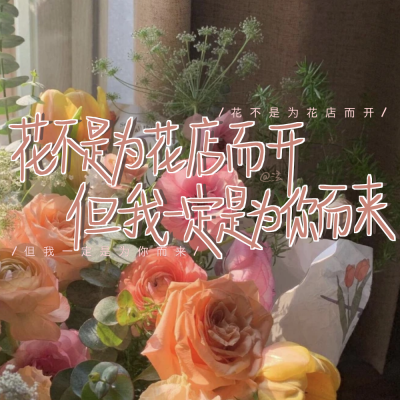 手写小白原创
转载注明出处：褚泫
文案来源于网络