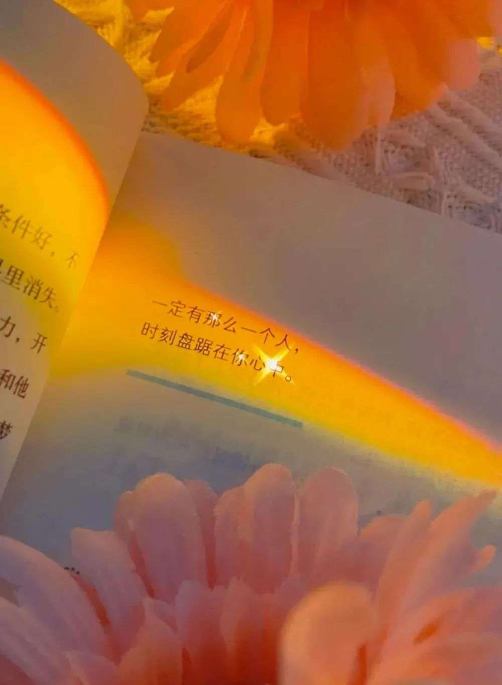 壁纸 朋友圈背景图 - 堆糖,美图壁纸兴趣社区