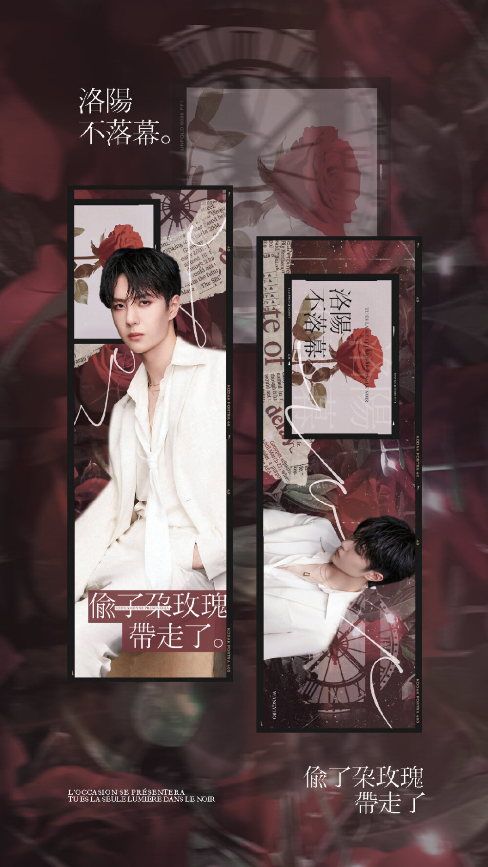 白牡丹王甜甜⭐陈情令⭐有匪⭐风起洛阳⭐照耀理想中国