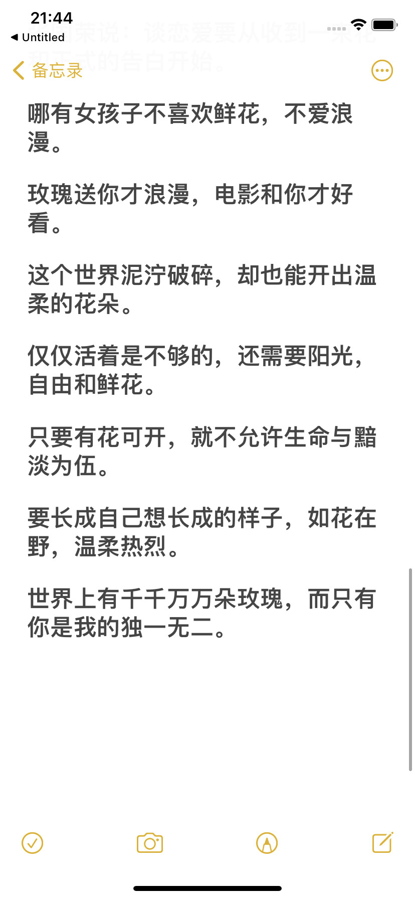 浪漫小众文案