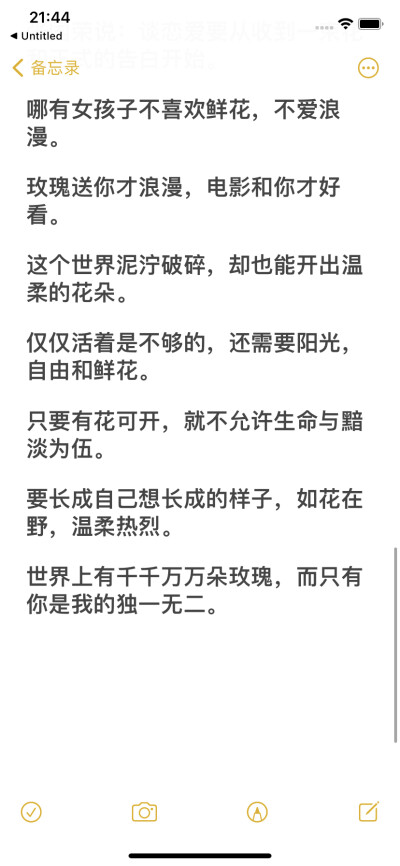 浪漫小众文案