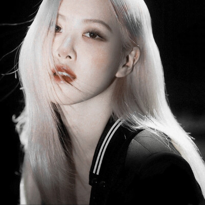 Rosé.
我们在黑暗中并肩而行 走在各自的朝胜路上.