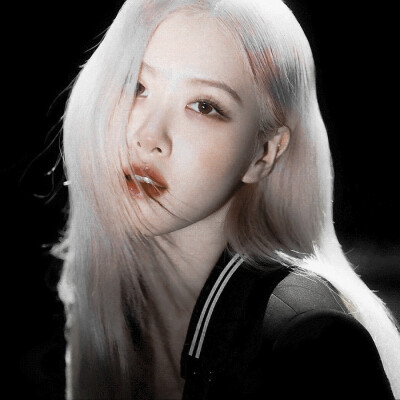 Rosé.
我们在黑暗中并肩而行 走在各自的朝胜路上.