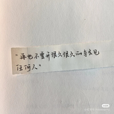 “百合花腐烂的味道比野草还难闻” “它盛开的时候你可不是这样说的”