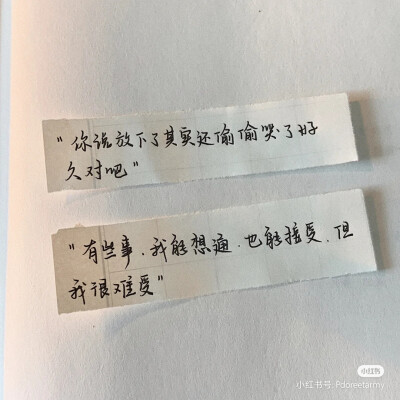 “百合花腐烂的味道比野草还难闻” “它盛开的时候你可不是这样说的”