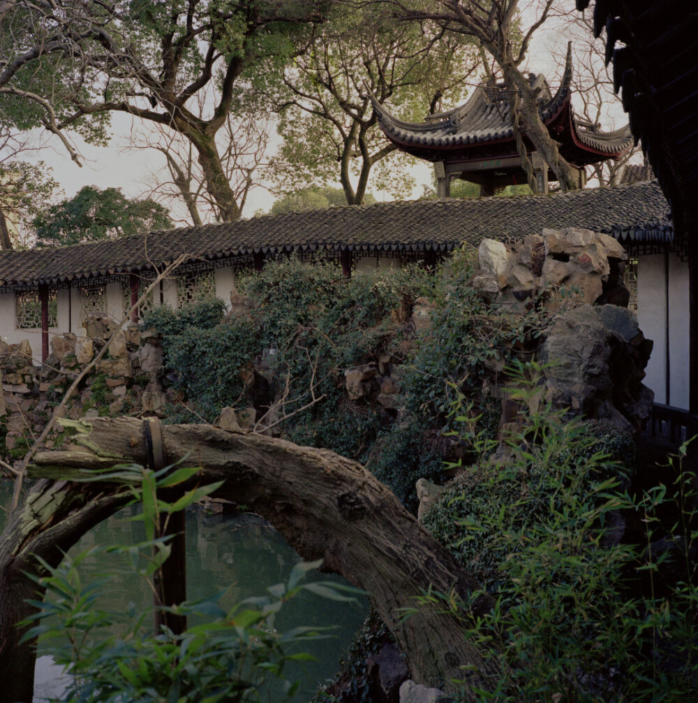 大众就没意思了