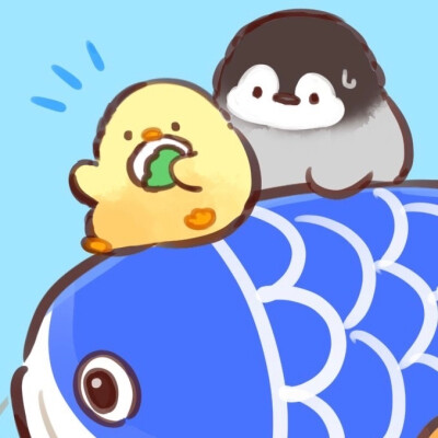 小肥的日常