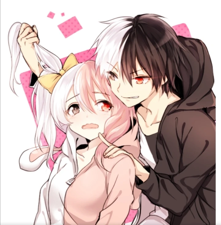 黑白熊与莫诺美拟人