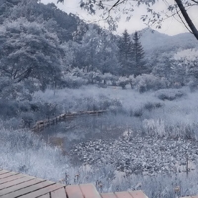 
（Blooming）等風起 等花開 等我們再次相遇