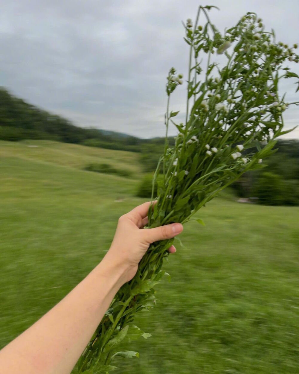 愜意的美好 