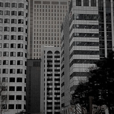 
——旅游日记。