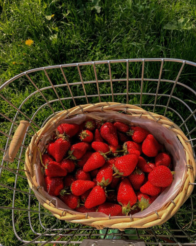 好爱草莓啊