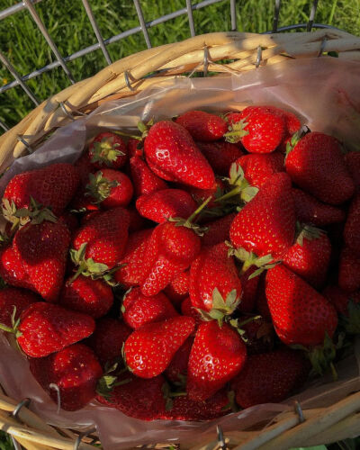 好爱草莓啊