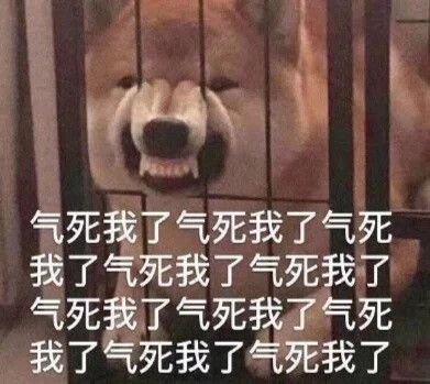 真的有那么搞笑吗