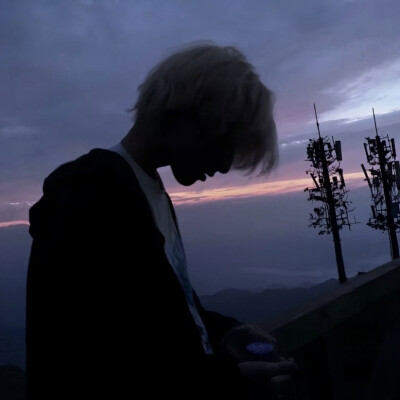 dt 藏缘 凌晨四点钟，我看见海棠花未眠 侵删致歉