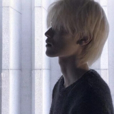 dt 藏缘 凌晨四点钟，我看见海棠花未眠 侵删致歉