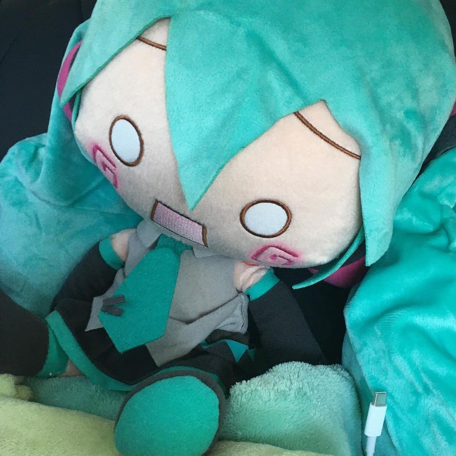 自截头像初音fufu 玫瑰云雾