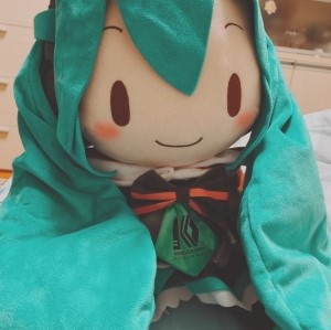 自截头像初音fufu 玫瑰云雾