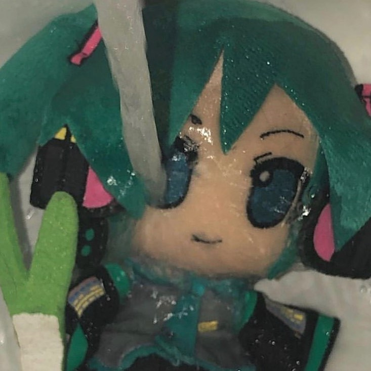 自截头像初音fufu 玫瑰云雾