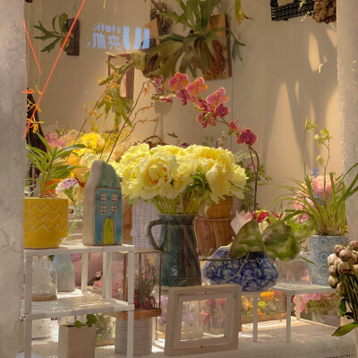 背景图 #橘子汽水味夏天
cr.