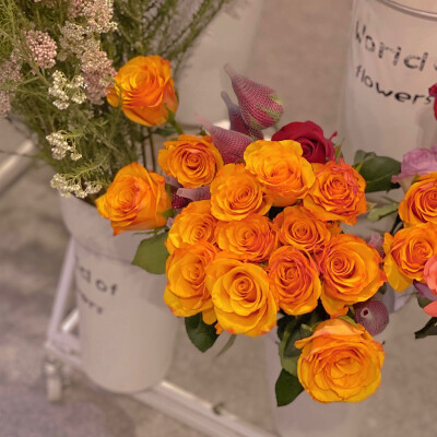 背景图 #橘子汽水味夏天
cr.