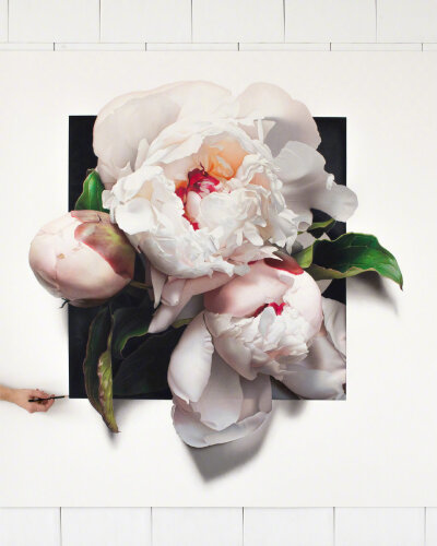 植物绘，画家 CJ Hendry 