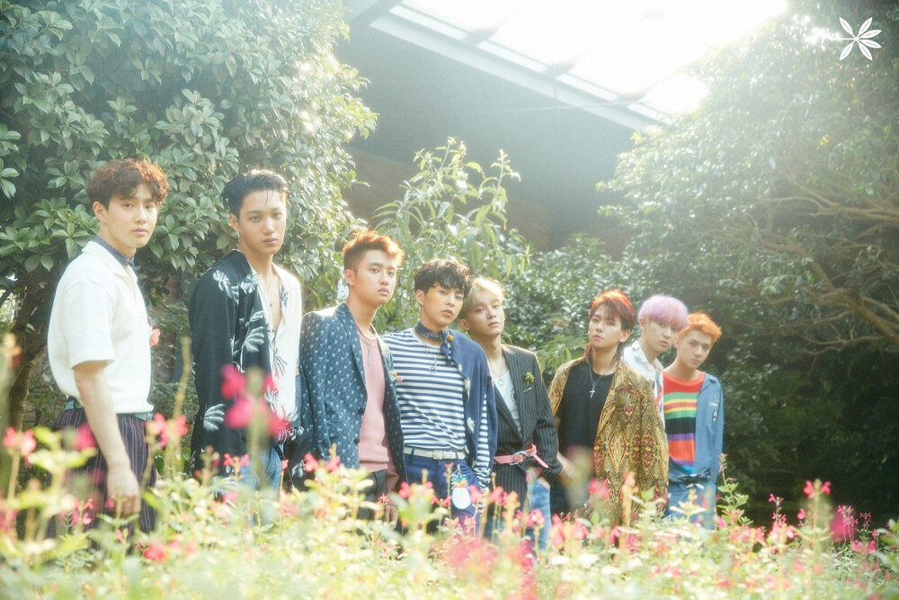 kokobop