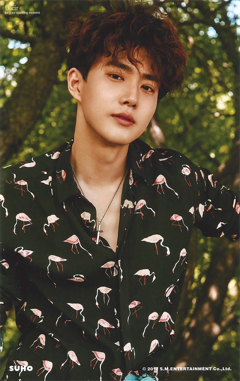 kokobop