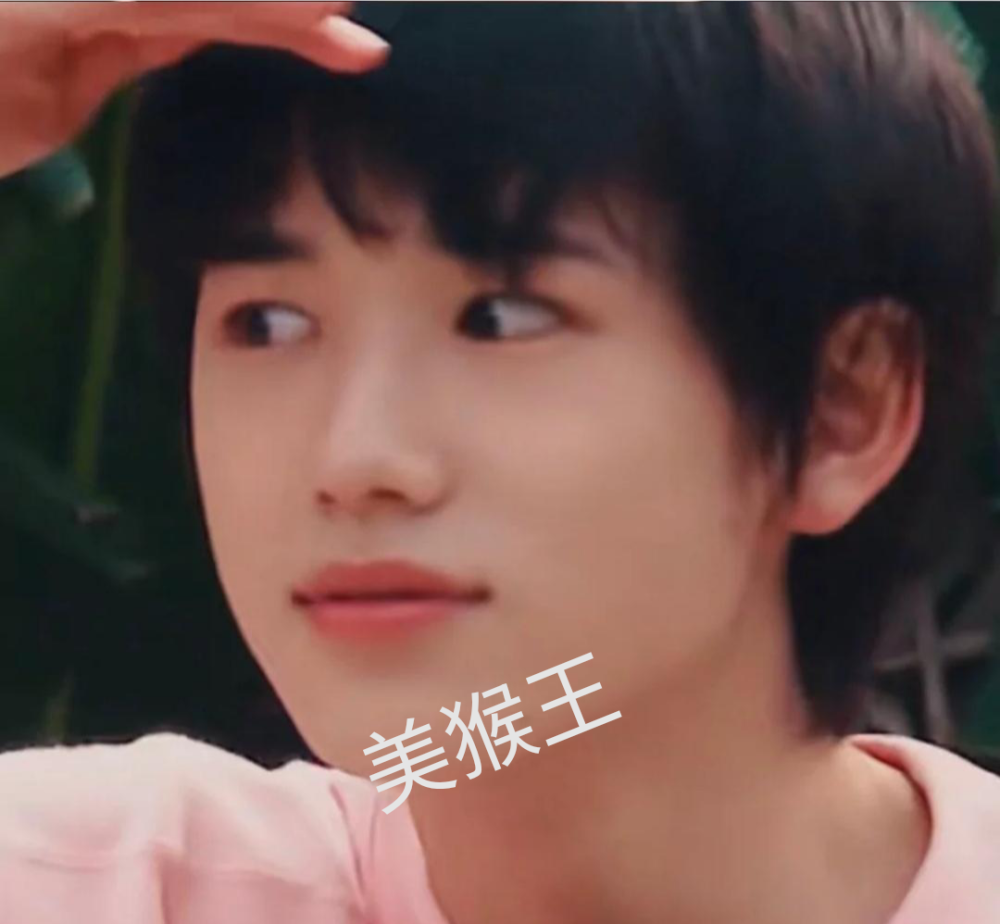 时代少年团表情包之刘耀文宋亚轩