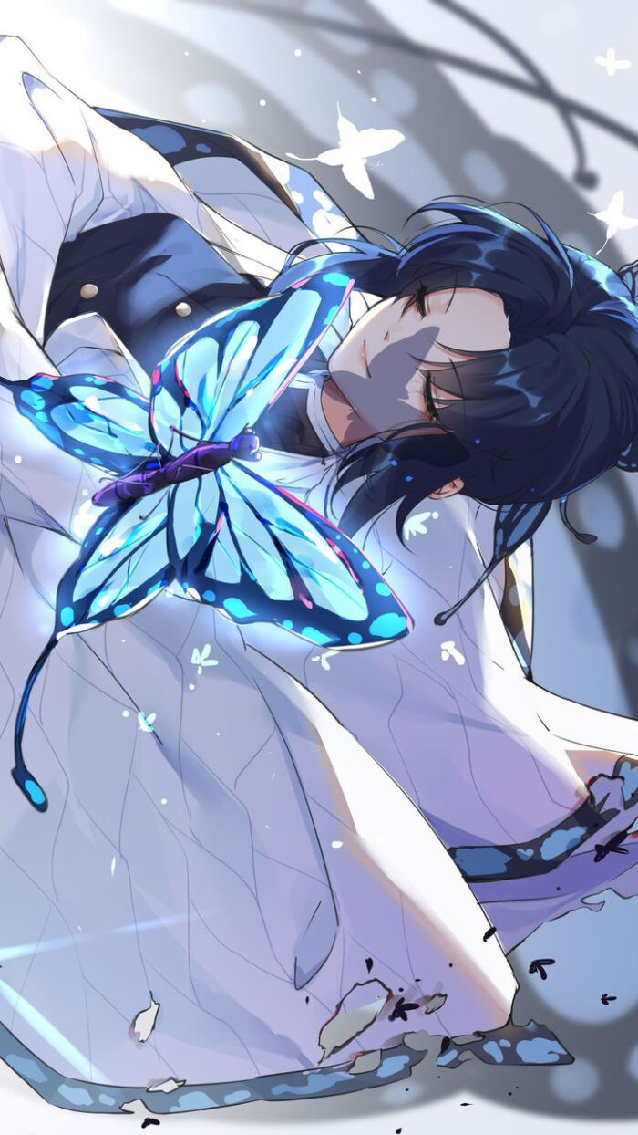 ☼静待紫藤花凋谢直至蝴蝶舞成眠蝴蝶忍蝴蝶元素头像封面背景- 高清图片，堆糖，美图壁纸兴趣社区