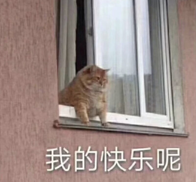 我的快乐