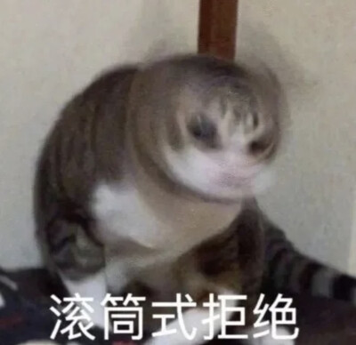 不不不