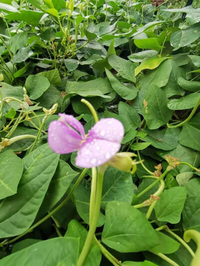 莫唱当年长恨歌，人间亦自有银河。
我喜欢面朝大海，吹拂在暖风中拥抱雨后的你✨