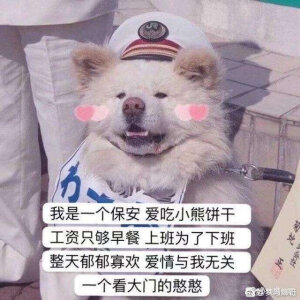 小熊保安 表情