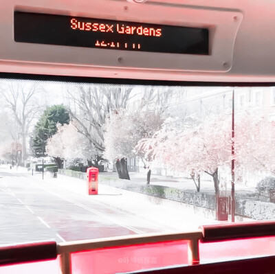 -张元英
-いちごミルク団子
-©小闲星斗