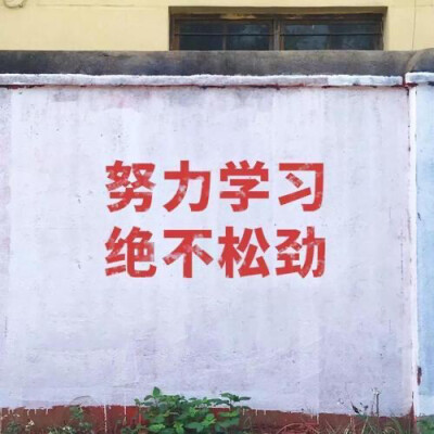 爱国
图源网络