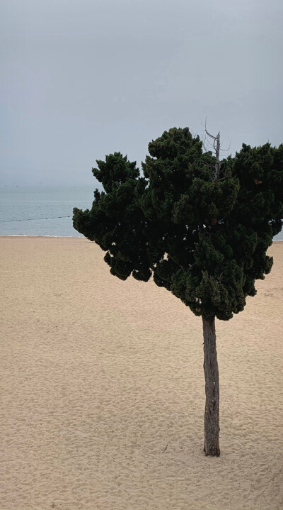 想在夏天喝着汽水、听落日飞车和橘子海……这一切都不重要，重要的是和你