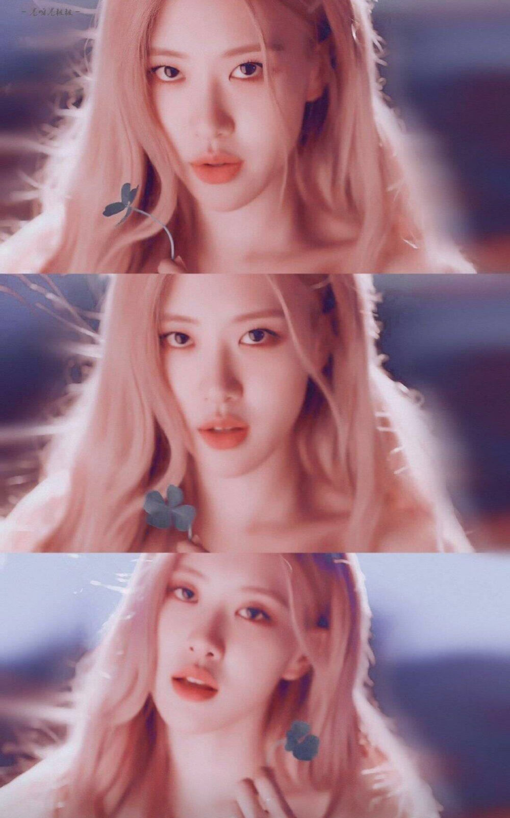 rosé