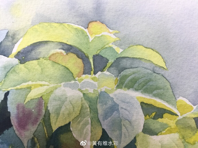 春的气息～ by@黄有维水彩