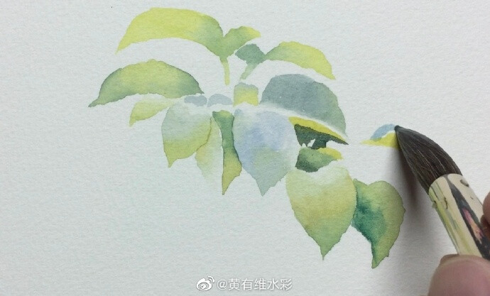 春的气息～ by@黄有维水彩