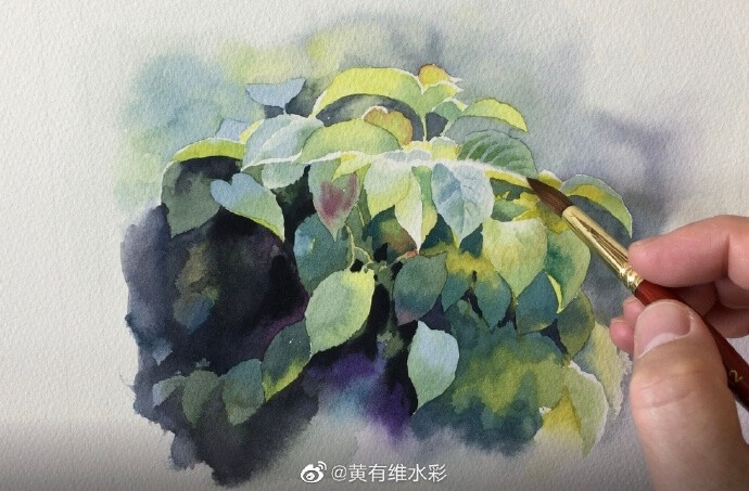 春的气息～ by@黄有维水彩