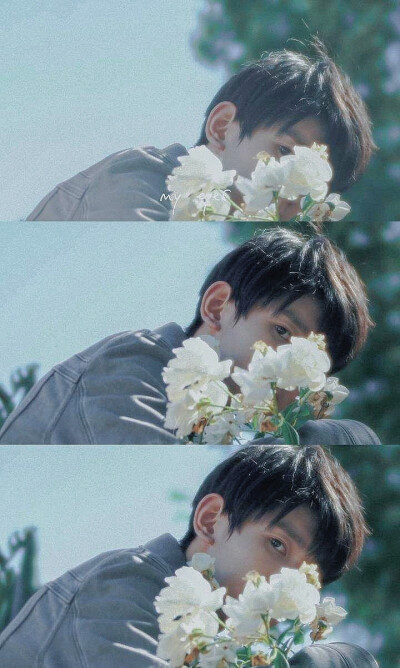 TFboys 王源 头像壁纸
侵删