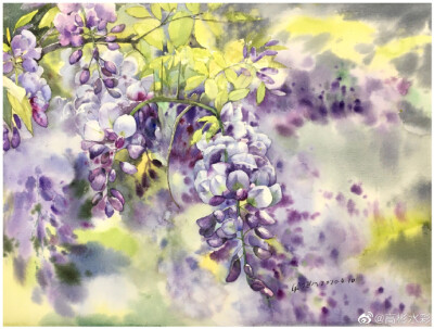 紫藤挂云木，花蔓宜阳春，又是一年紫藤季。 ​​​by@高彬水彩