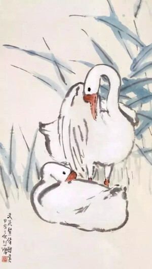 白鹅