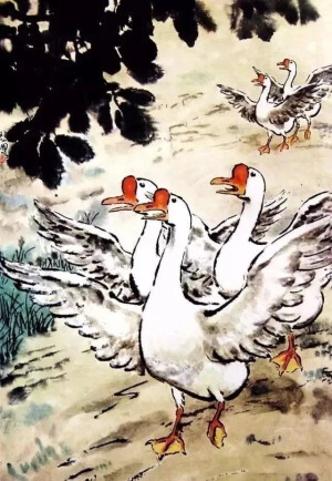 白鹅