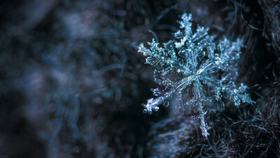 雪花主题高清动态壁纸