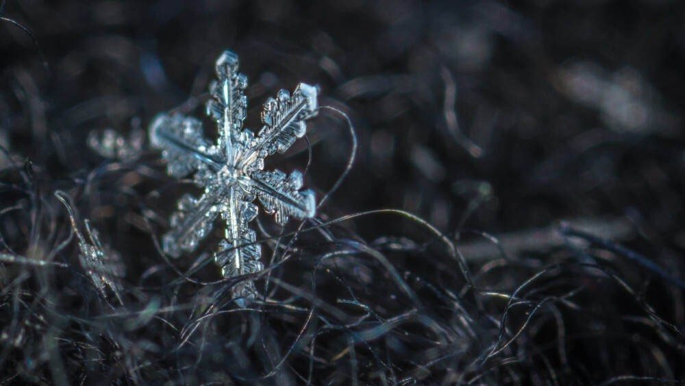 雪花主题高清动态壁纸